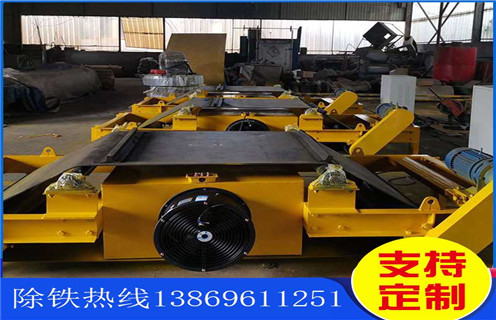 浙江風冷式電磁除鐵器生產(chǎn)廠家